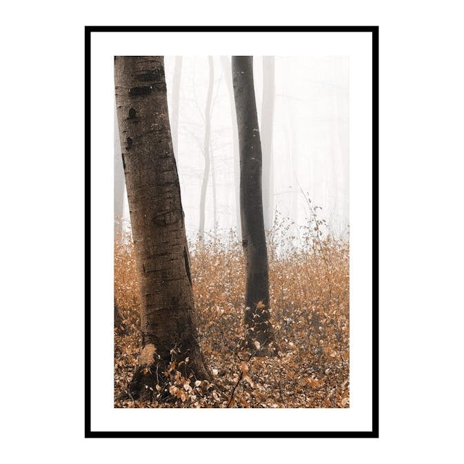 Poster Gallerix Forest Ground