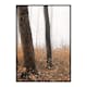 Poster Gallerix Forest Ground