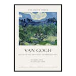 Poster Gallerix Van Gogh The Olive Trees