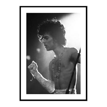 Poster Gallerix Prince