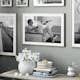 Poster Gallerix Steve McQueen