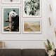 Poster Gallerix Giant Panda Bear