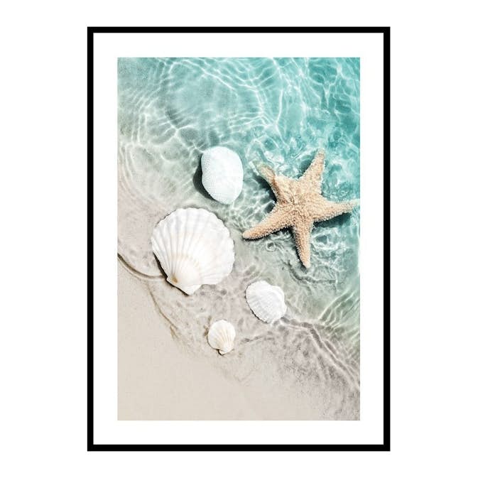 Poster Gallerix Starfish And Seashell