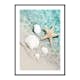 Poster Gallerix Starfish And Seashell