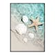 Poster Gallerix Starfish And Seashell