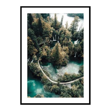 Poster Gallerix Scenic Forest View