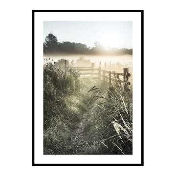 Poster Gallerix Sunrise Over Countryside