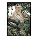 Poster Gallerix Leopard In Tree