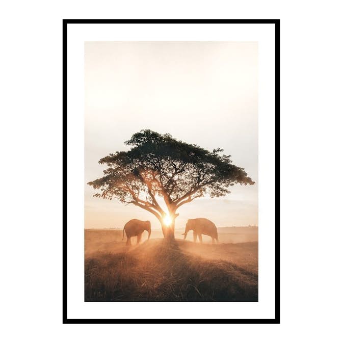 Poster Gallerix Elephants At Sunrise