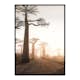 Poster Gallerix Baobab Trees In Madagascar