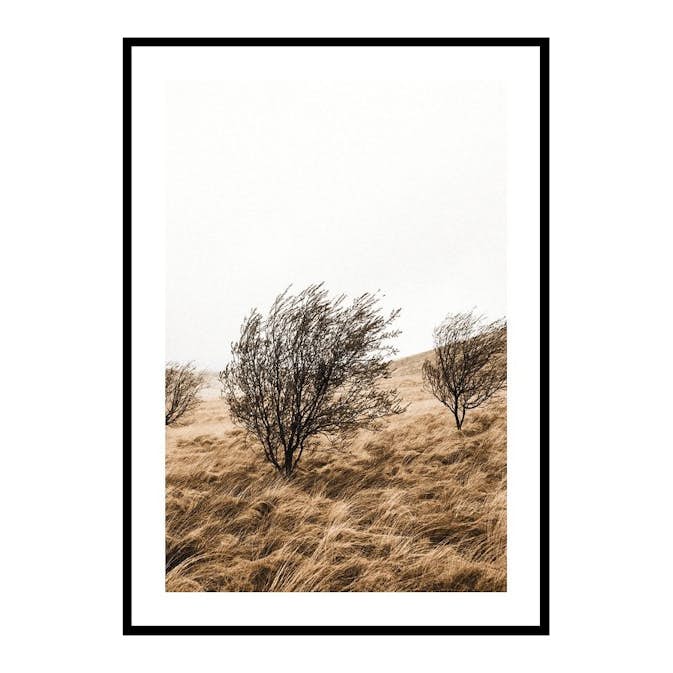 Poster Gallerix Grassy Field And Trees