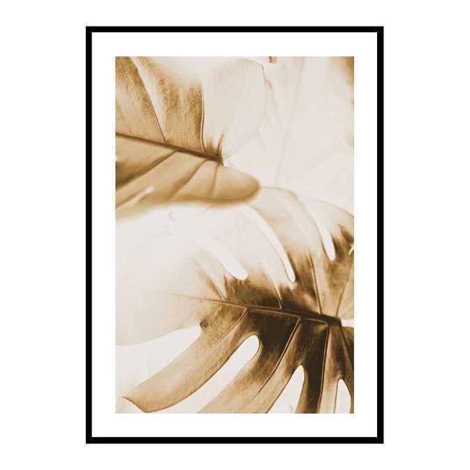 Poster Gallerix Golden Monstera Leaves