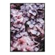 Poster Gallerix Pink Hydrangea