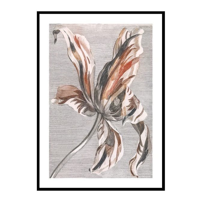 Poster Gallerix Tulip By Johan Teyler