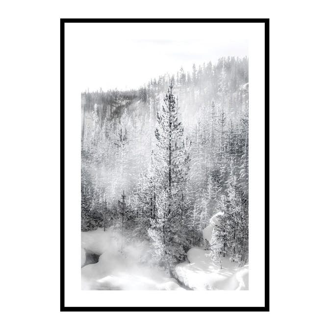 Poster Gallerix A Bright Winters Morning