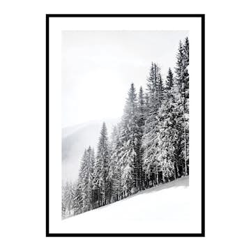 Poster Gallerix Snow Covered Trees