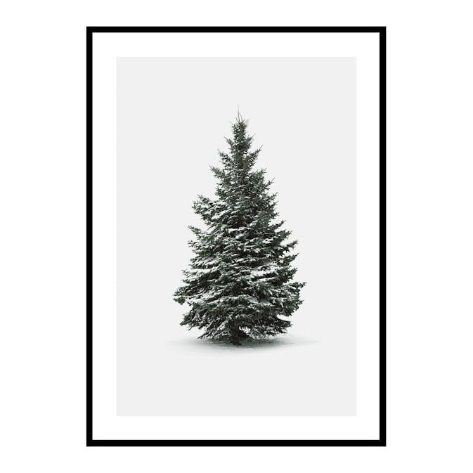 Poster Gallerix Winter Botany No4