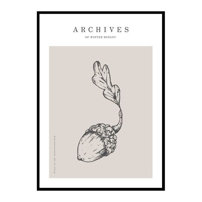 Poster Gallerix Winter Botany No1