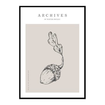 Poster Gallerix Winter Botany No1