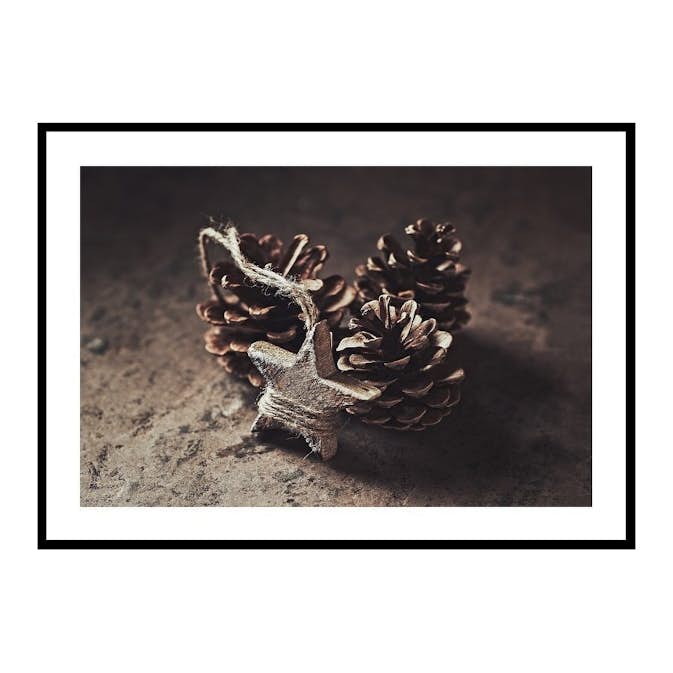 Poster Gallerix Tree Cones