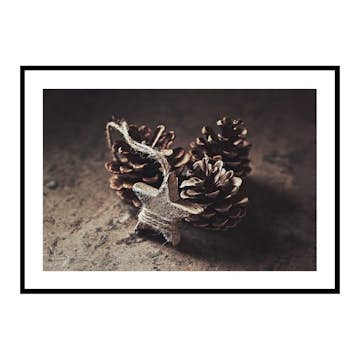 Poster Gallerix Tree Cones