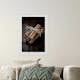 Poster Gallerix Cinnamon Sticks
