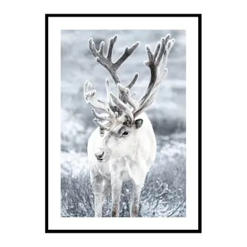 Poster Gallerix Reindeer