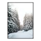 Poster Gallerix Snow Covered Road