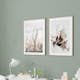 Poster Gallerix Anemone Flower