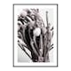 Poster Gallerix Dried Silver Brunia