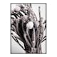 Poster Gallerix Dried Silver Brunia