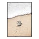 Poster Gallerix Baby Turtle On Beach