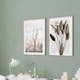 Poster Gallerix Bird Of Paradise