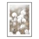 Poster Gallerix Cottongrass