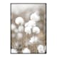Poster Gallerix Cottongrass