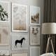 Poster Gallerix Painted White Flowers