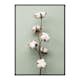 Poster Gallerix Cotton On Green