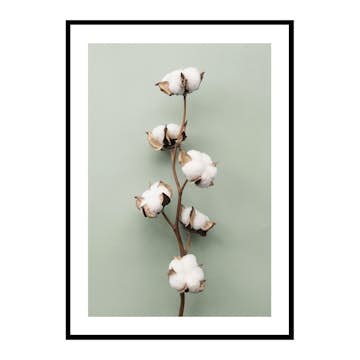 Poster Gallerix Cotton On Green