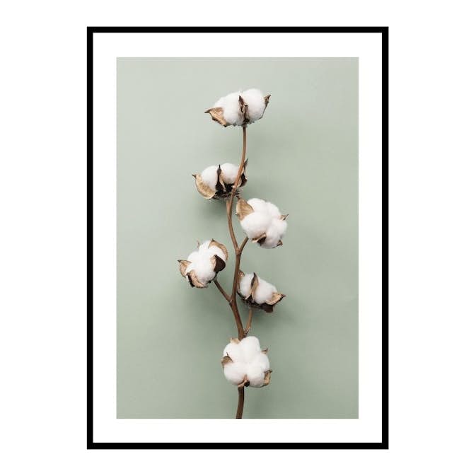 Poster Gallerix Cotton On Green