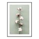 Poster Gallerix Cotton On Green