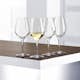 Vitvinsglas Spiegelau Authentis 42 cl 4-pack