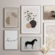 Poster Gallerix Flower Pots No2