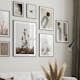 Poster Gallerix Reeds