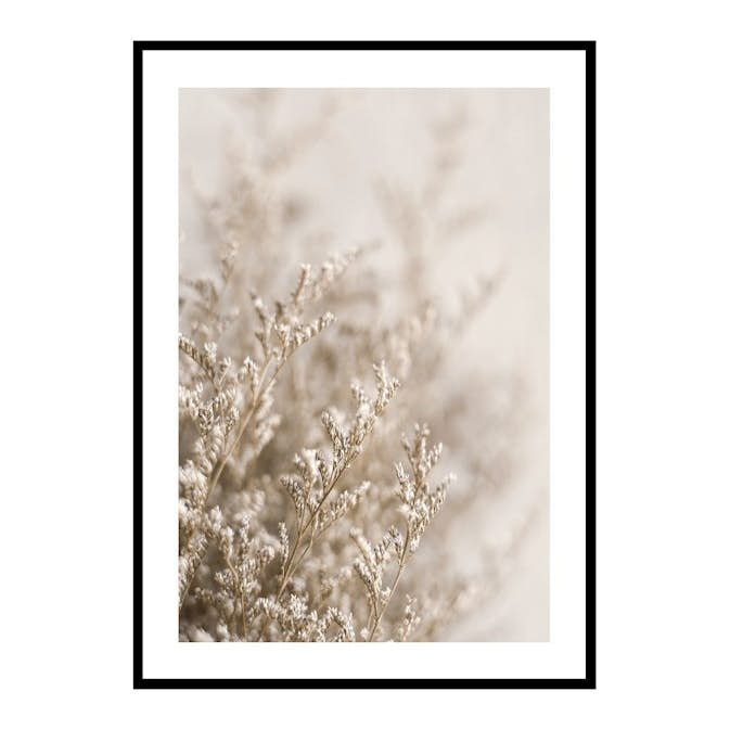 Poster Gallerix Dried Plants No5