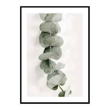 Poster Gallerix Eucalyptus No8