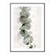 Poster Gallerix Eucalyptus No8