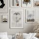 Poster Gallerix Dried Flower Silhouette