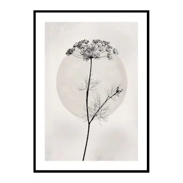 Poster Gallerix Dried Flower Silhouette