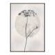 Poster Gallerix Dried Flower Silhouette