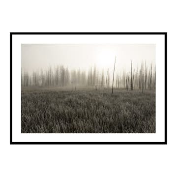 Poster Gallerix Tangled Creek